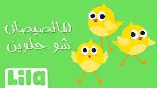 هالصيصان شو حلوين   ليلا تي في دندنها