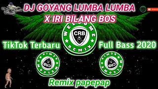 Download DJ Goyang Lumba Lumba Iri Bilang Bos | Remix Papepap | Tiktok Terbaru Full Bass 2020 MP3