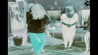 هشام عبدالحميد وكف قوي مديحة كامل 