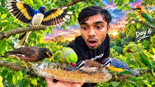 পাখিদেরকে দিলাম খাবার !! Frite khabar pelo pakhira!!পাখিদের কি খাবার দিলাম আজ দেখো !!