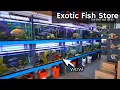This Hidden Aquarium Store Has Some of the Finest Fish