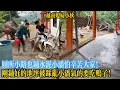 Lagu 廁所小路也鋪水泥小潘怕辛苦大家！小秋說是堂哥他們提起的。剛鋪好的地坪被踩亂小潘氣的要吃鴨子！【越南媳婦小秋】
