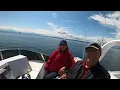 Fun Chaos at Roche Harbor Washington