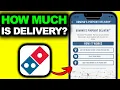 How Much Does It Cost To Get A Dominos Pizza Delivered - See For Yourself
