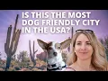 The Most Dog Friendly City in the USA Scottsdale AZ Travel Guide dog friendly Phoenix-area