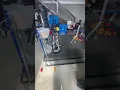 6 sample auto