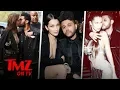 The Weeknd Bella Hadid Moved In Together TMZ TV