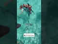 Download Lagu A little girl got bitten by a shark