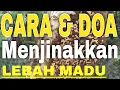 Download Lagu Cara dan Doa Menjinakkan Lebah Madu liar Supaya Tidak Galak Saat di Panen