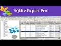 SQLite Expert Professional On Exagear Windows Emultor