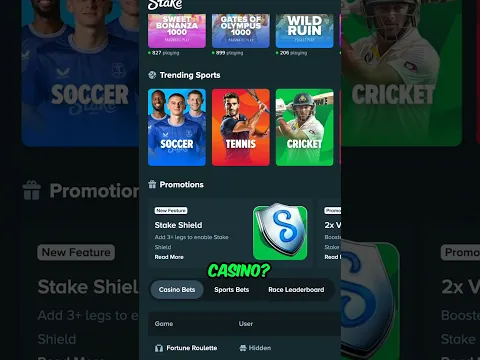 Stake.com Isn't Fake — But Check This First