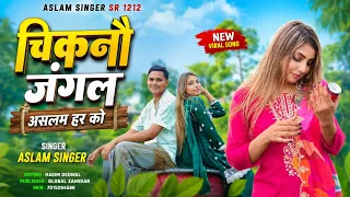 SR 1212 Aslam Singer Mewati ( चिकनौ जंगल असलम हर को ) New 4k Video// Aslam Singer New Latest Song