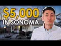 What Does 5 Buy You in Sonoma County in 2023