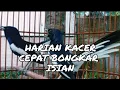 TERAPI MASTERAN HARIAN KACER CEPAT BONGKAR ISIAN
