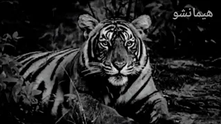 Bad Style Time Back Acoustic Version Slowed Reverb 