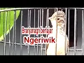 Download Lagu Branjangan  Ngeriwik\