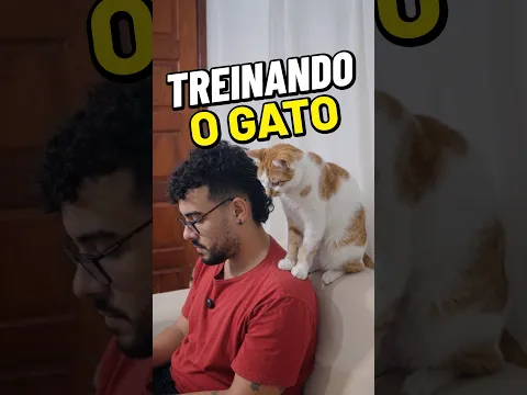 Quando o seu Gato é muito rebelde... 🙀🙀