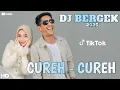 Download Lagu DJ BERGEK - CUREH CUREH [ music remix ]