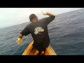 Download Lagu Ngeri_amukan Black marlin saat sambar tali pancing spot laut Likupang @OMBOTAMANCING 