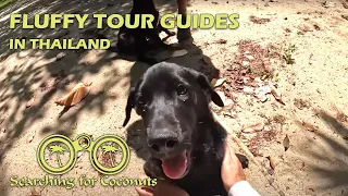 Jungle Adventures with the locals S02E03