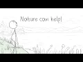 What are nature-based solutions
