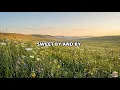 Greatest SDA Hymns Faith & Worship Vol. 4 | Peaceful Adventist Worship with Lyrics (40 Minutes)