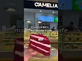 Download Lagu I finally visited Camelia at West County Mall \u0026 tried almost everything  #stl #stlouis #foodvlog