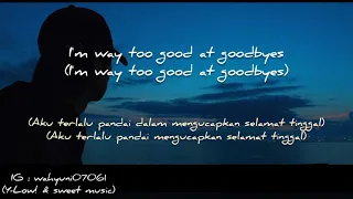 Download Too Good At Goodbyes - Sam Smith Lyrics | Lirik dan Terjemahan Indonesia MP3