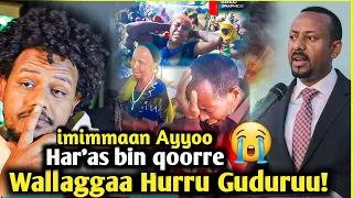 Imimmaan Ayyoo Wallaggaa Har As Qooru Hin Dandeenye Hurru Guduru Wallaggaa Zad ORO  Imimmaan Ayyoo Wallaggaa Har As Qooru Hin Dandeenye Hurru Guduru Wallaggaa Zad ORO