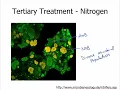 Wastewater Treatment - Nutrient Removal Intro