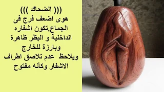 جميع انواع المهبل مع اشكال فتحة المهبل 