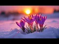 "Spring Morning" | Inspirational Song of Light, Hope and Renewal
