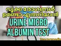 Urine micro albumin test malayalam Kidney function test Urine albumin test