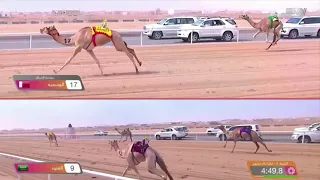 جديد وحصري الصعب حمد جارالله البريدي كلمات سعيد بن عبدالله البريدي اداء مسفر السندوانه 