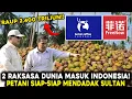 DUNIA KAGET! Pabrik Baru Butuh 500 JUTA Butir Per Tahun! Indonesia Diam-Diam Koleksi 2400 Triliun?