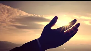 مين قدي بيحب النبي   تامر كروان دندنها