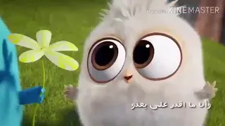 بعدو بيسألني بعد    حالات واتس اب    مايا دياب دندنها