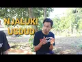 Download Lagu KONCI | KOMEDI NGAPAK CILACAP | NJALUKI USDUD