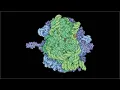 Origins of Life Introduction - Efficiency of the Central Dogma Chris Kempes