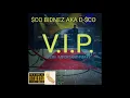GOODIES (REMIX) - Ciara ft. Ludacris, Petey Pablo, Lil Jon, Sco Bidnez [DJ$ko REMIX]