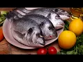 Download Lagu FISH 🐠 RECIPES.