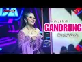 Download Lagu GANDRUNG ~ TENGDUNG // CITRA NADA LIVE JL.BAWAL.TEGALSARI (GG.MACAN) // KOTA TEGAL