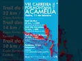 Lagu A Camelia 2024: presentación