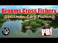 Download Lagu Scorching Session! PB Mirror Carp on the Hottest Day – Brooms Cross Fishery specimen Carp Fishing