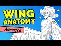 Download Lagu How to Draw BIRD WINGS (feathers, wing shapes, anatomy)