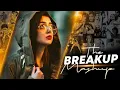 Download Lagu Tum To Dhokhebaaz Ho ( DJ Chas In The Mix ) New Song
