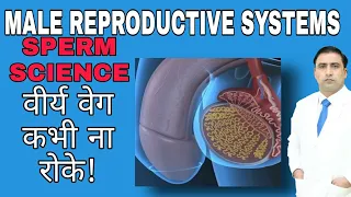 Download MALE REPRODUCTIVE SYSTEM SPERM SCIENCE | वीर्य वेग कभी ना रोके! MP3