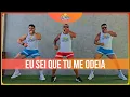 Download Lagu Eu sei que tu me odeia - Mc Danny \u0026 Anitta - Coreografia | Meu Swingão
