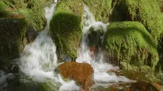 سورة النور   آية ٣٥  الله نور السماوات والأرض  دندنها