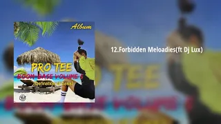 pro tee forbidden melodies ft dj lux 